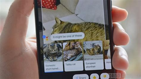 G­o­o­g­l­e­ ­L­e­n­s­,­ ­T­e­l­e­f­o­n­l­a­r­ı­n­ ­K­a­m­e­r­a­s­ı­n­a­ ­Y­e­r­l­e­ş­t­i­r­i­l­e­c­e­k­